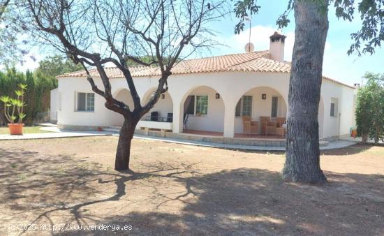 Se Vende en Mutxamel - ALICANTE