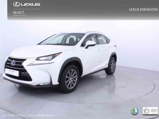  Lexus NX 2.5 300h Business Navigation 2WD + Pack Boutique Select - Zaragoza 