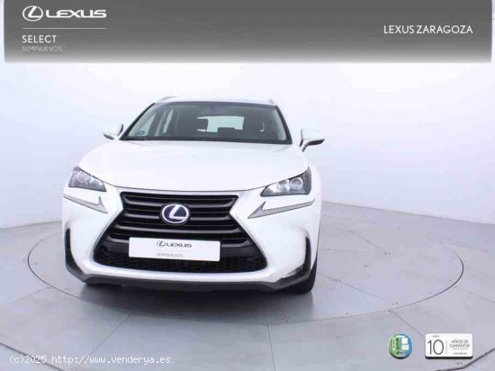 Lexus NX 2.5 300h Business Navigation 2WD + Pack Boutique Select - Zaragoza