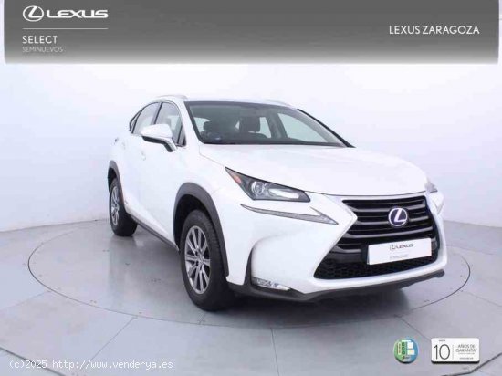 Lexus NX 2.5 300h Business Navigation 2WD + Pack Boutique Select - Zaragoza