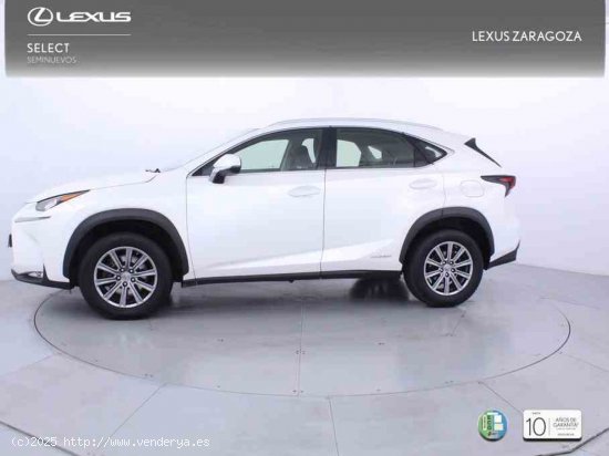 Lexus NX 2.5 300h Business Navigation 2WD + Pack Boutique Select - Zaragoza