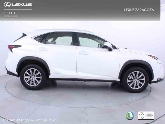 Lexus NX 2.5 300h Business Navigation 2WD + Pack Boutique Select - Zaragoza