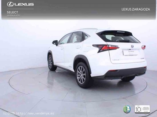 Lexus NX 2.5 300h Business Navigation 2WD + Pack Boutique Select - Zaragoza