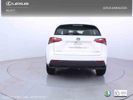 Lexus NX 2.5 300h Business Navigation 2WD + Pack Boutique Select - Zaragoza