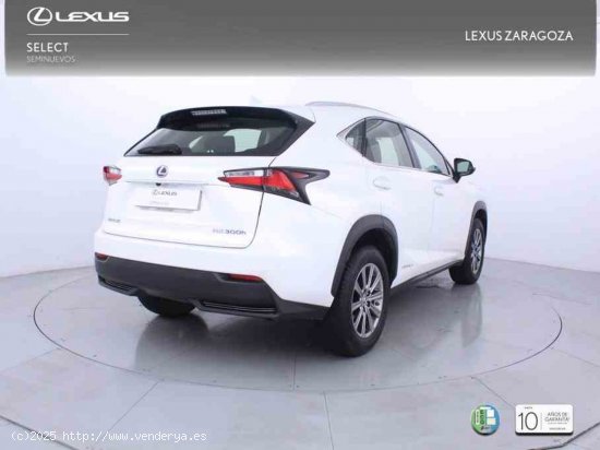 Lexus NX 2.5 300h Business Navigation 2WD + Pack Boutique Select - Zaragoza