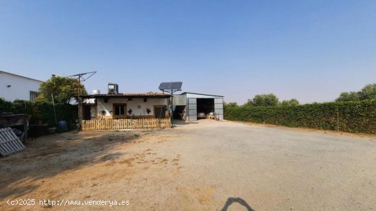 Finca de Recreo en Gálvez de 7500 m2.