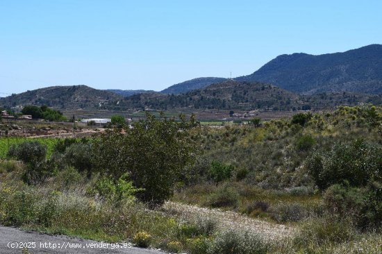 PARCELA EN HONDON DE LA NIEVES