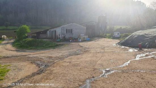  FINCAS RÚSTICAS EN NUEVA DE LLANES - ASTURIAS 