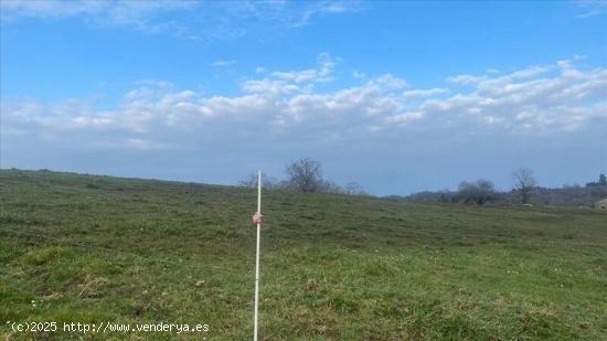 SE VENDE TERRENO URBANIZABLE EN RIBADEDEVA - ASTURIAS