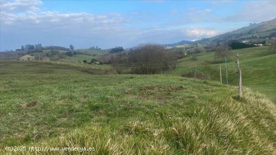 SE VENDE TERRENO URBANIZABLE EN RIBADEDEVA - ASTURIAS