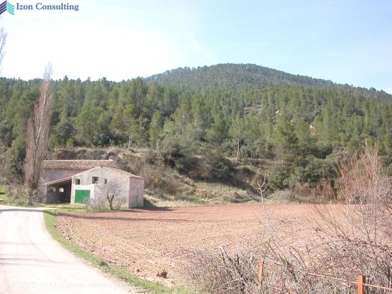 FINCA EN PATERNA DEL MADERA - BOGARRA - ALBACETE