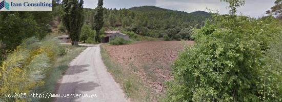 FINCA EN PATERNA DEL MADERA - BOGARRA - ALBACETE