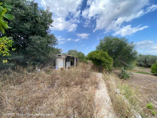 Casa de pueblo en Llubi - BALEARES