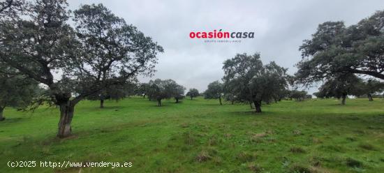 PARCELA RÚSTICA EN PEDROCHE - CORDOBA