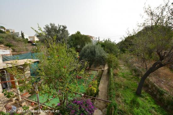 EN VENTA TERRENO URBANO EN GÉNOVA MALLORCA - BALEARES