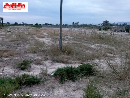 Se vende terreno de 12000m en Daimes, a 2km de La Hoya, - ALICANTE