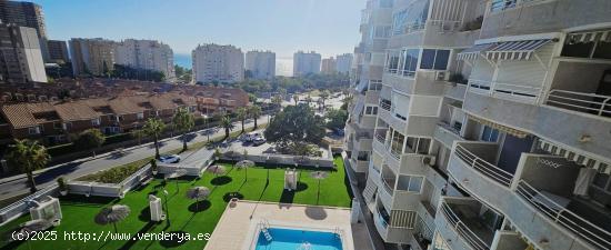 Se Alquila Apartamento Reformado para Estrenar - ALICANTE