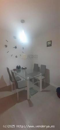 Elegante piso de 3 dormitorios completamente reformado en la Colonia Madrid de Benidorm. - ALICANTE