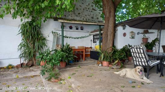 Gran casa con patio en Brozas - CACERES