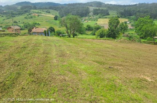 ¡CONSTRUYE TU VIVIENDA EN UNA DE LAS ZONAS MAS DEMANDADAS DE CASTRILLON!. - ASTURIAS