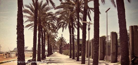 LOCAL EN ALQUILER AV CATALUNYA SANT ADRIÀ DEL BESÓS - BARCELONA