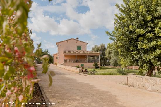 SE VENDE FINCACON GRAN TERRENO EN LA ZONA DE SANT JORDI PALMA - BALEARES