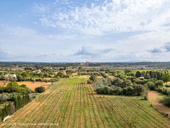 Espectacular finca rústica legal en Sencelles - BALEARES