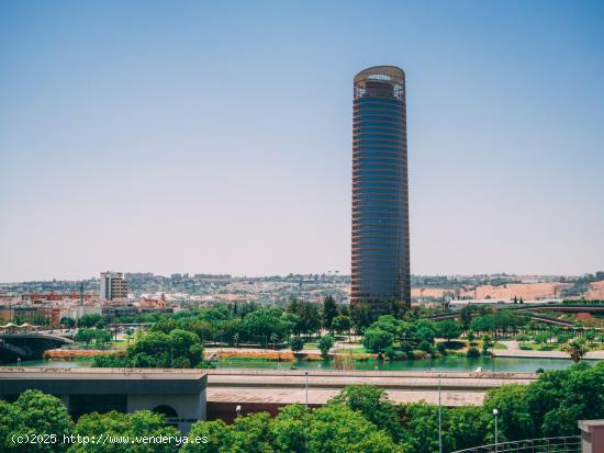 ESTUPENDA NAVE CON OFICINAS - SEVILLA