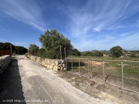 Terreno edificable Sa Gruta Manacor - BALEARES