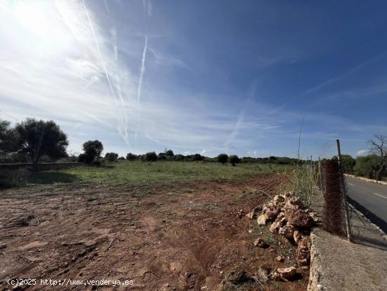 Terreno edificable Sa Gruta Manacor - BALEARES