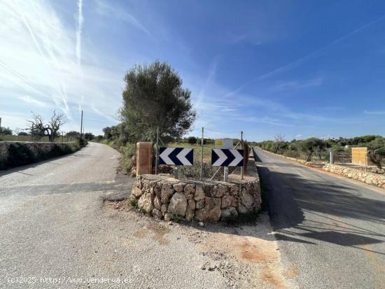 Terreno edificable Sa Gruta Manacor - BALEARES