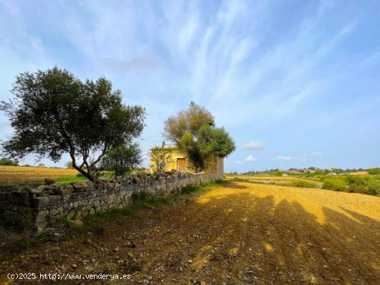 Se Vende en Maria de la Salut - BALEARES