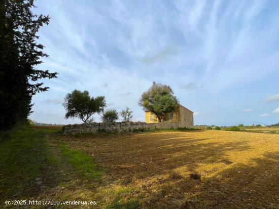 Se Vende en Maria de la Salut - BALEARES