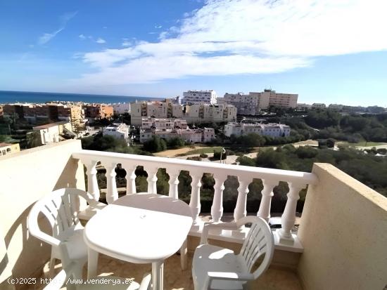  Apartamento con Vista al Mar en Torrevieja - ALICANTE 