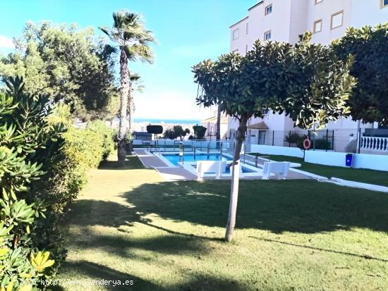 Apartamento con Vista al Mar en Torrevieja - ALICANTE