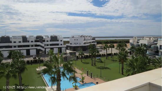  Apartamento en venta en Guardamar del Segura (Alicante) 