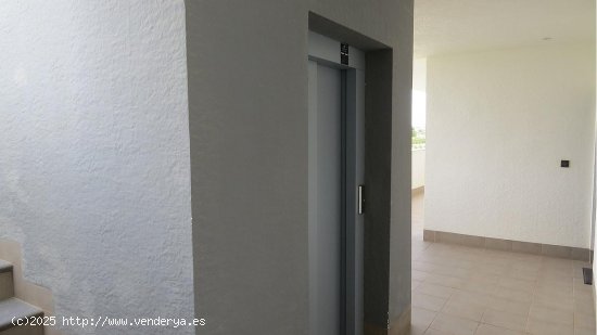 Apartamento en venta en Guardamar del Segura (Alicante)