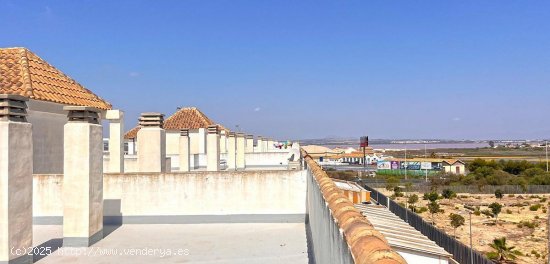 Apartamento en venta en Torrevieja (Alicante)