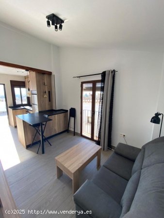 Apartamento en alquiler en Granada (Granada)