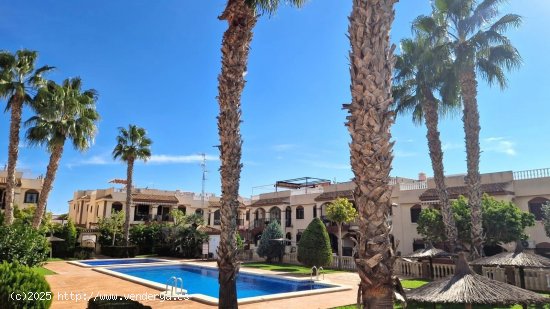 Bungalow en venta en Torrevieja (Alicante)