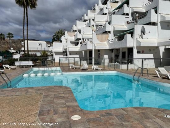 Apartamento en alquiler en Mogán (Las Palmas)