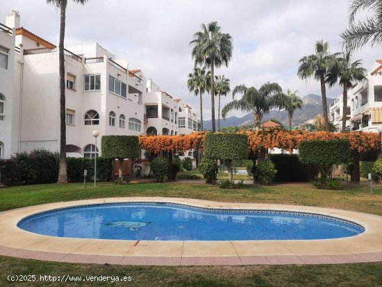  Apartamento en alquiler en Benalmádena (Málaga) 