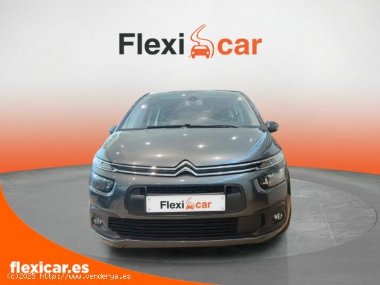 Citroën C4 Picasso BlueHDi 88KW (120CV) EAT6 Feel - Badajoz