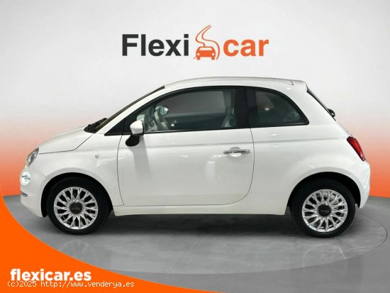 Fiat 500 Connect 1.0 Hybrid 52KW (70 CV) - Albacete