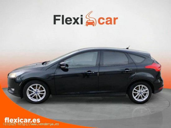 Ford Focus 1.5 TDCi E6 120cv Trend+ - Logroño