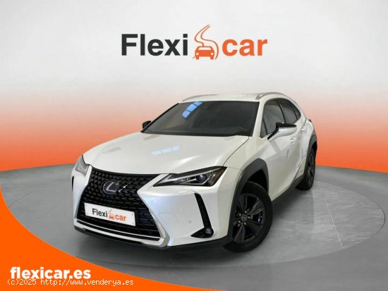 Lexus UX 2.0 250h Business - León