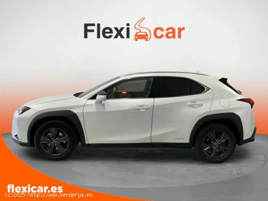 Lexus UX 2.0 250h Business - León