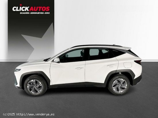 Hyundai Tucson 1.6 TGDI 160CV 48V DT Maxx - 