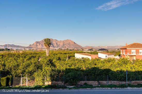  Casa de Pueblo a las afueras de Rafal - ALICANTE 