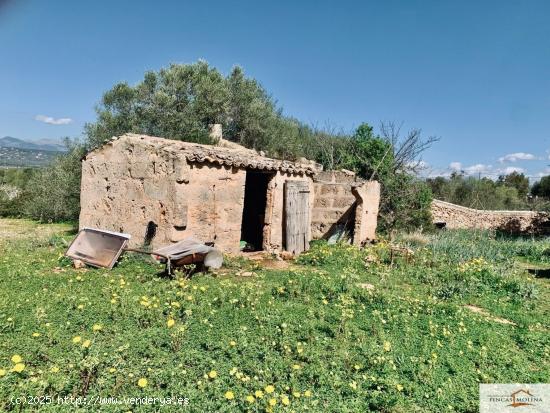 Finca Rústica Son Binissalom -  San Jordi - BALEARES